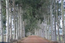 Hay Shed Hill Entrance